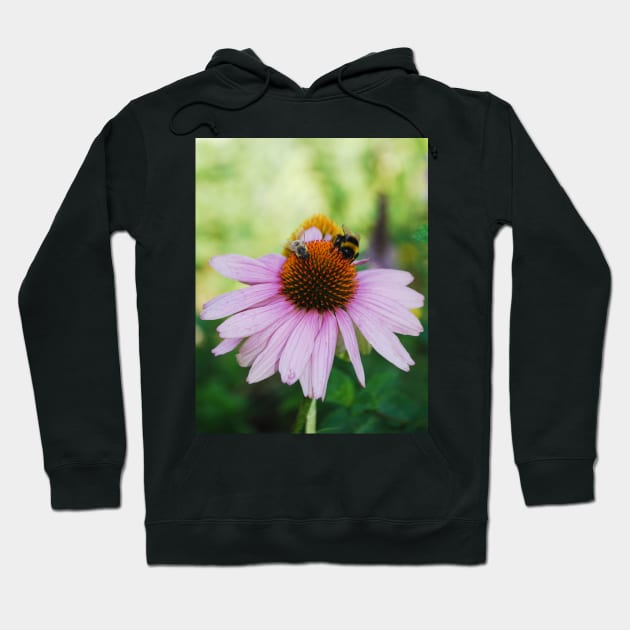 Echinacea Purpurea with Bees Hoodie by jojobob